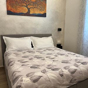 Sogni Di Luna
